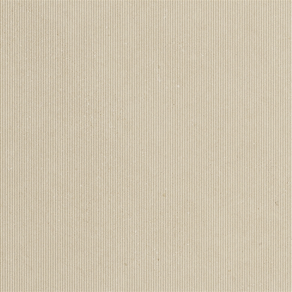 RIDGE / Beige