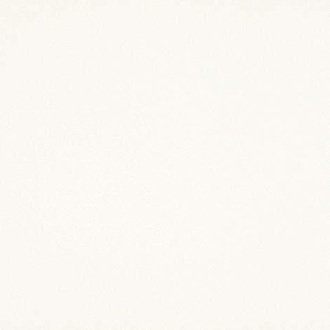 Extra White